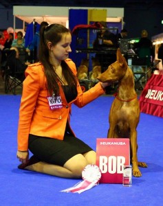 10818956_863274800378982_2009328413_n